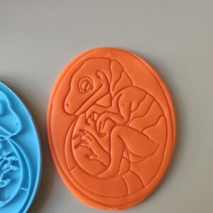 Baby Dinosaur Embryo Cookie Cutter and Stamp – Baby Yingliang Fossil Inspired – 3” & 4.75” – Paleontology, Science Party, Dino Baking Mold